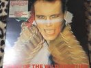 ADAM & THE ANTS- Kings Of The Wild Frontier 1980 Vinyl LP + Lyrics A4/B2 Ex/Ex