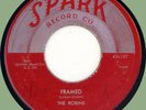ROBINS Framed / Loop De Loop Mambo 45rpm Spark 1954 original pressing