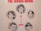 THE SUMMER SOUNDS: UP-DOWN LP. Original Pressing.  Mega rare Check scans