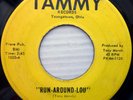 the DEL RAYS white doowop vg+ TAMMY 45 RUN AROUND LOU b/w MARY IS HER NAME kz109