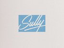 Sully - Flock  12