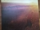 Saves the Day - Stay What You Are, LP Record - Excellent Condition
