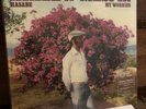 Ayalew Mesfin 