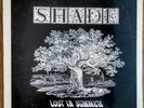 SHADE Lost in Summer LP Private MA Psychedelic Folk  MINT Sealed FREE SHIPPING