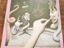 The Chameleons - Strange Times (Vinyl LP)  German - Pink Framing