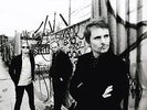 Muse Signed 12X8 Photo Genuine Signature AFTAL COA (F)