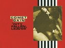 Comet Gain - City Fallen Leaves Vinyl LP (2) Mladys NEW