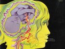 Keith Tippett Dedicated To You But You Weren't Li... UK vinyl LP  record