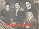 THE SHADOWS 45 A PLACE IN THE SUN+PS NORWAY RARE