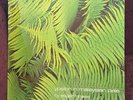Edgar Froese ?– Ypsilon In Malaysian Pale