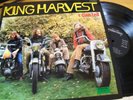 KING HARVEST I CAN TELL LP MINT--- INTERNATIONAL ITALY