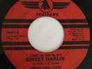 JIMMY SOUL CLARK-Sweet Darlin/Stop That Girl 45 Rare Detroit Northern Soul