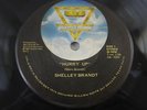 Modern Soul Boogie Disco 45 - Shelley Brandt - Hurry Up  Gold Brick Texas  HEAR