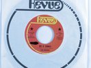 Funk Sweet Soul 45 LEN WOODS Do It Funky REVUE promo HEAR