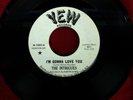 Northern Soul THE INTRIGUES I'm Gonna Love You YEW records N-1002 Promo
