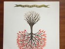 Lungfish ?– Love Is Love LP