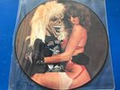IRON MAIDEN - RARE VINYL LP PICTURE DISC LAST PUB GIG