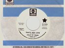 Northern Soul USA Original - Holly St. James - That's Not Love (Demo) ?Hear?