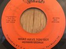 HERMAN GEORGE 70's sweet soul 45 What Have You Got / Mental High   Bet It's