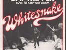 WHITESNAKE Day Tripper 7