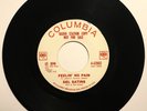 DEL SATINS Feelin’ No Pain RARE DJ PROMO Rare R&B Doo Wop Dion Belmonts HEAR