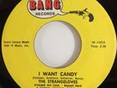 THE STRANGELOVES I WANT CANDY / IT'S ABOUT MY BABY, 1965 (7