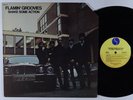 FLAMIN' GROOVIES Shake Some Action LP on Sire VG++