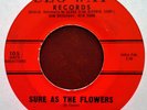 DOO WOP - HI-TONES - SURE AS THE FLOWERS b/w GIRLS - SEG-WAY 45 - 1961