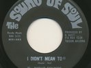 NIGHT SOUNDS on The Sound Of Soul —I DIDN'T MEAN TO— rare garage 45 | NM LISTEN