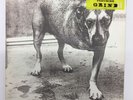 ALICE IN CHAINS LP s/t ORIGINAL 1995 Columbia N/M GRUNGE METAL 1st USA