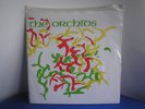 ORCHIDS - I'VE GOT A HABIT   UK SARAH   w fold out insert sheet