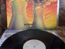 Nuclear Assault Survive Sepultura Slayer Kreator Death Thrash NYHC SOD Cromags 
