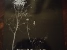 DARKTRONE Under a Funeral Moon  PEACEVILLE RECORDS - VILE 35