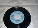 LIQUID EARTH - LION'S DEN 1984 PRIVATE METAL EMERALD BAD AXE AMETHYST FAR EAST