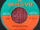 NELLY BARRETO - Cheche Mulence / RARE PANAMA GUAGUANCO 45 / Santero Afro