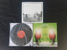 LUNGFISH,NECROPHONES  RECORD   VINYL, INDIE   2000  DISCORD
