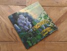 33T Listte Jambel & Jean Pierre Dujay – Les Chansons De Bob Et Bobette TBE.
