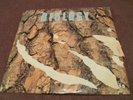 Walt Rockman - Biology - 12