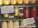 Stack Waddy-The Lost Dandelion Jams  VINYL NEU