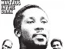 Toots & The Maytals - In The Dark Vinyl LP NEU 09537573