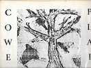 MONSTER RARE PRIVATE  REAL PEOPLE OUTSIDER FOLK  PSYCH LP JEFF COWELL PLAINT