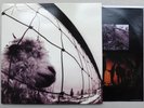 PEARL JAM Vs LP Vinyl FIRST US PRESSING (Z 53136) 1993 Very Rare MINT