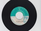 NEGUSA NAGAST/ FAR BEYOND THE BLUE  -  LLOYD WILLACY  (75 REGGAE ROOTS 7