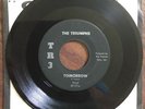 OBSCURE 60s Garage 45 Triumphs TR3 Gary Indiana Tomorrow b/w Jade East