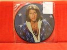 PICTURE DISC COLLECTOR EDITION LIMITEE  MIKE BRANT