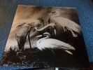 The Dead Weather Jack White Buzzkiller Yellow 7