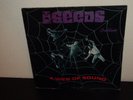 The Seeds ?– A Web Of Sound (1966 Pressing , 12