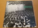 Indestroy - Senseless Theories LP