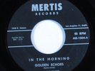 Black Gospel 45 GOLDEN ECHOES In The Morning MERTIS VG+ HEAR