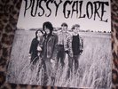 PUSSY GALORE   GROOVY HATE F*CK. 1986 US LP. Royal Trux, Jon Spencer.